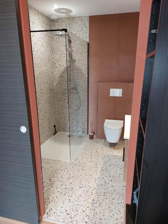 Appartamento La Bompard*** 50m² Coeur De Avec Terrasse Rodez